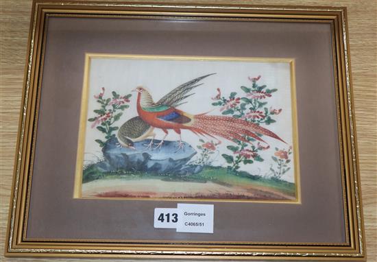 19th century Chinese School, gouache on pith paper, Study of pheasants, 17 x 24cm